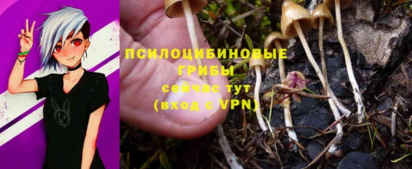 молекула духа Абаза