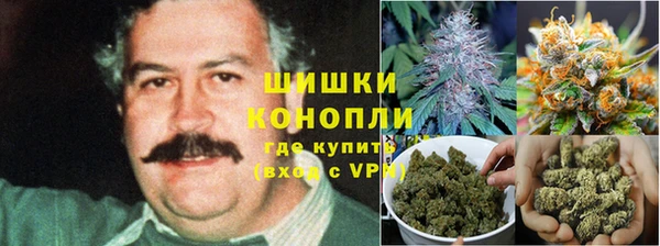 spice Покачи