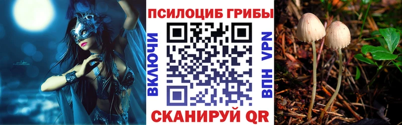 Галлюциногенные грибы прущие грибы  Нижняя Тура 